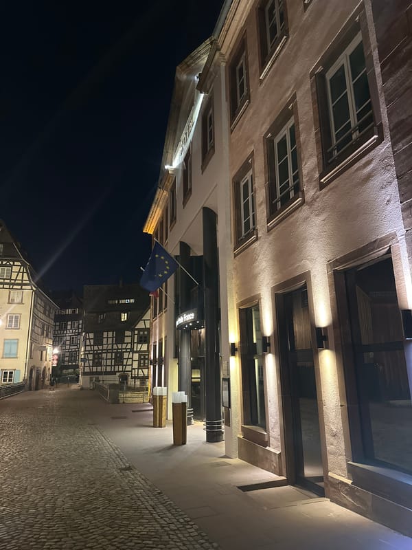 People jump from bridges into Strasbourg canals during evening