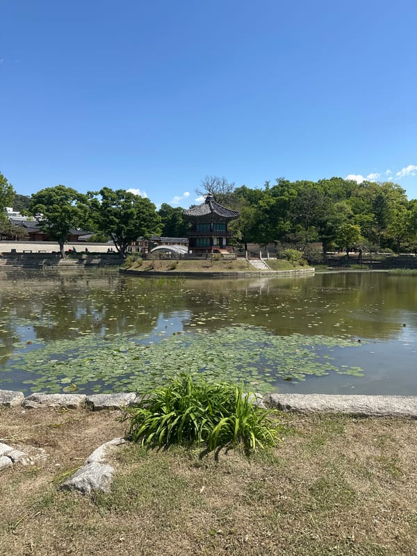 Peaceful Seoul park scenes with traditional pavilion captured overnight
