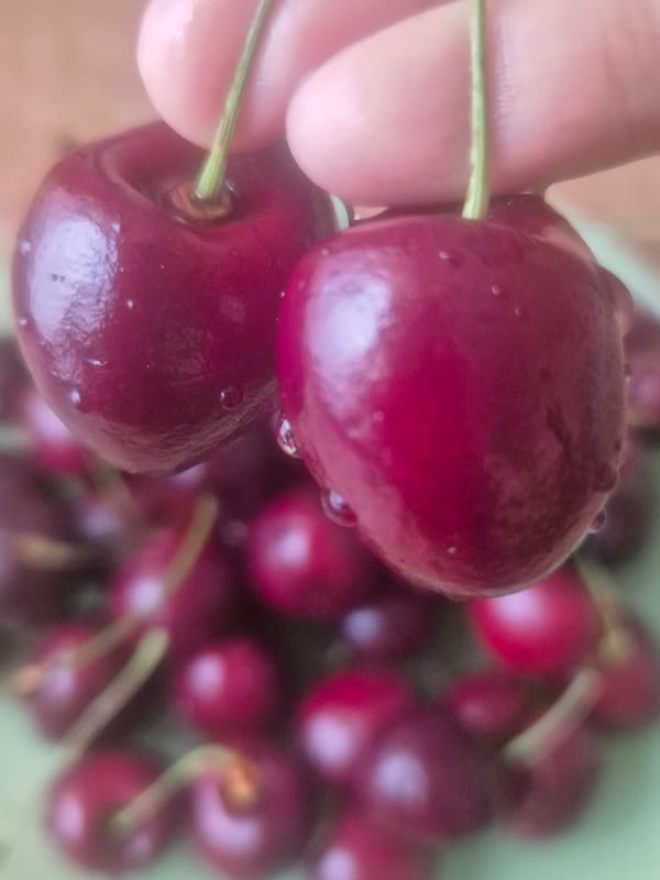Fresh cherries, watermelon, and pears in Kokshetau