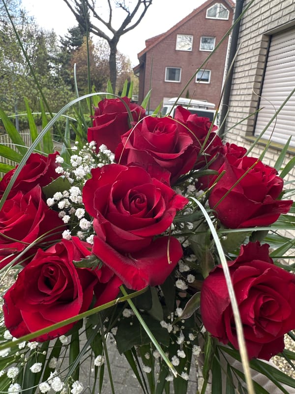 Red rose bouquet spotted in Melle, Germany