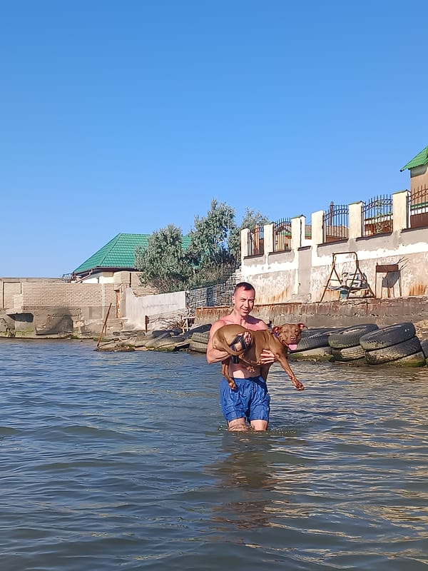 Dog day at the Black Sea shore in Zatoka, Ukraine