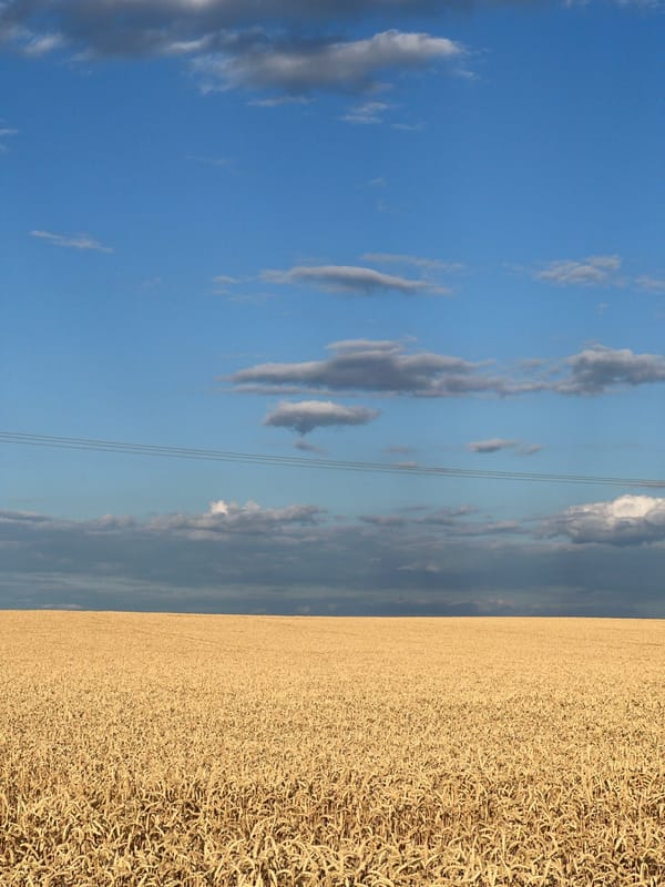 Harvest season across the fields and backroads of South Moravia