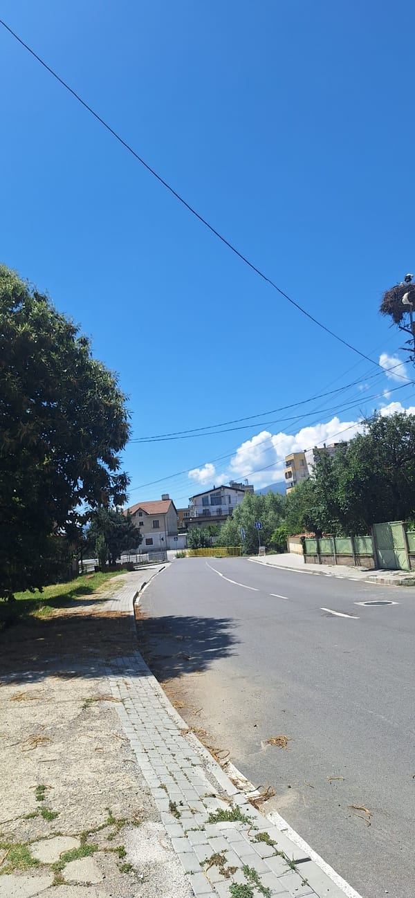 Storks, cracked roads, and a stream in a sleepy sunny town