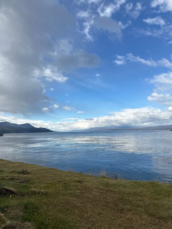 Diner captures meal and harbor view in Ushuaia