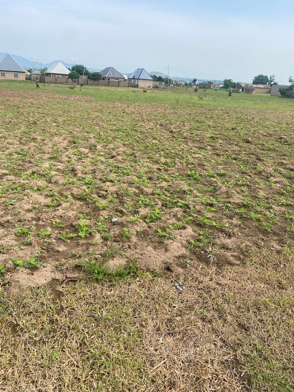 On foot through dry rural Nigeria, fields and scattered settlements