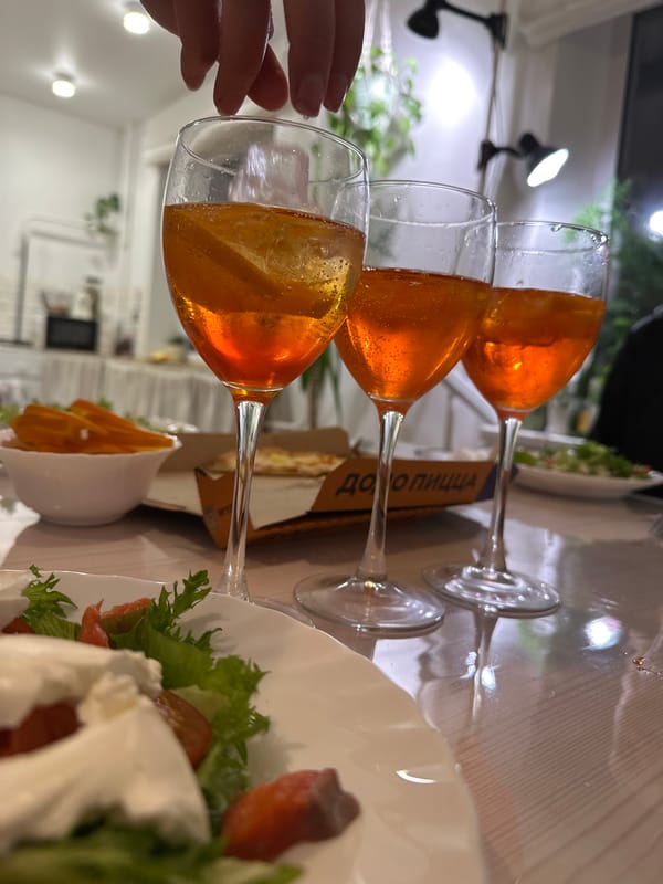 Cozy dinner gathering documented in Chaikovsky home with cocktails, cats