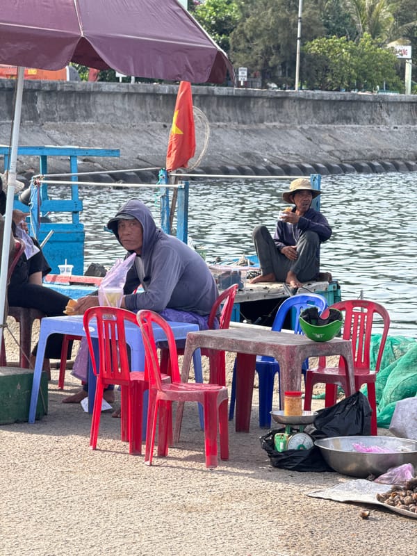 Lý Sơn harbor at dawn: fishing, fish market, and ferries