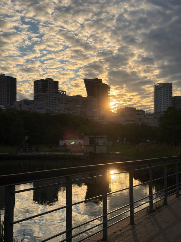 Urban park wildlife and golden-hour skylines, all in one session
