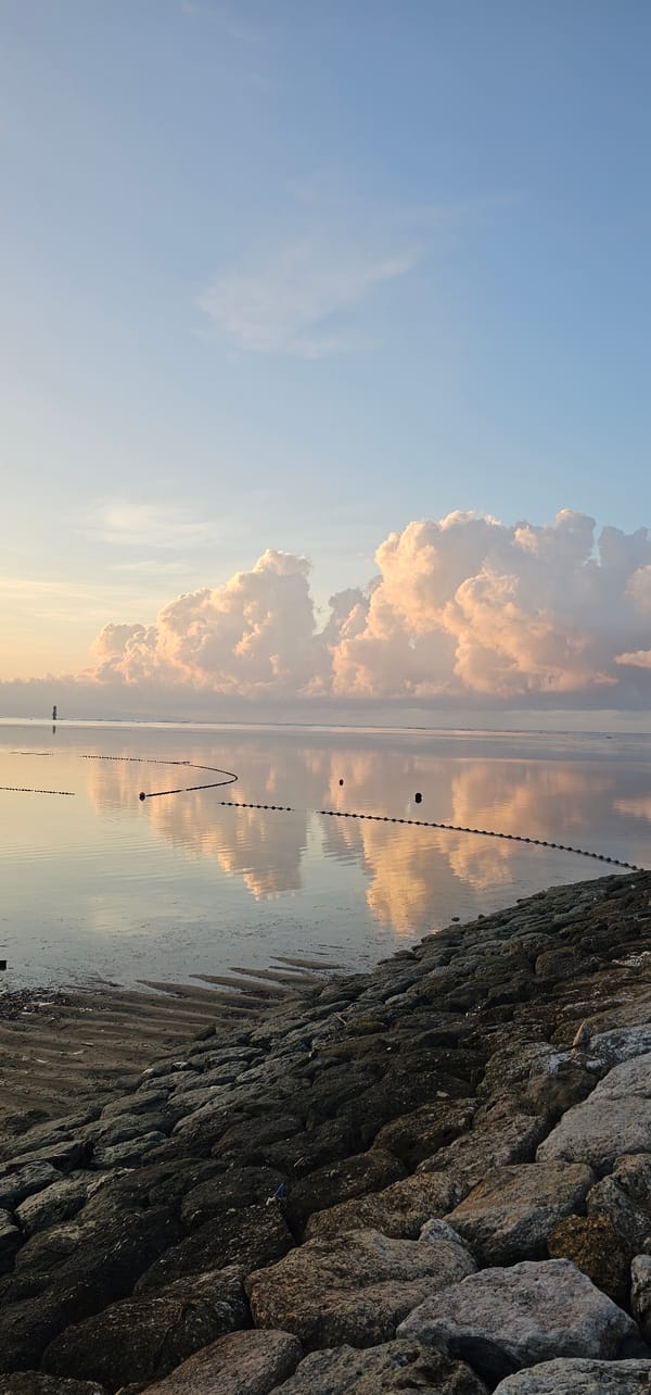 Denpasar beach sunset draws dog walkers, waterfront structures visible