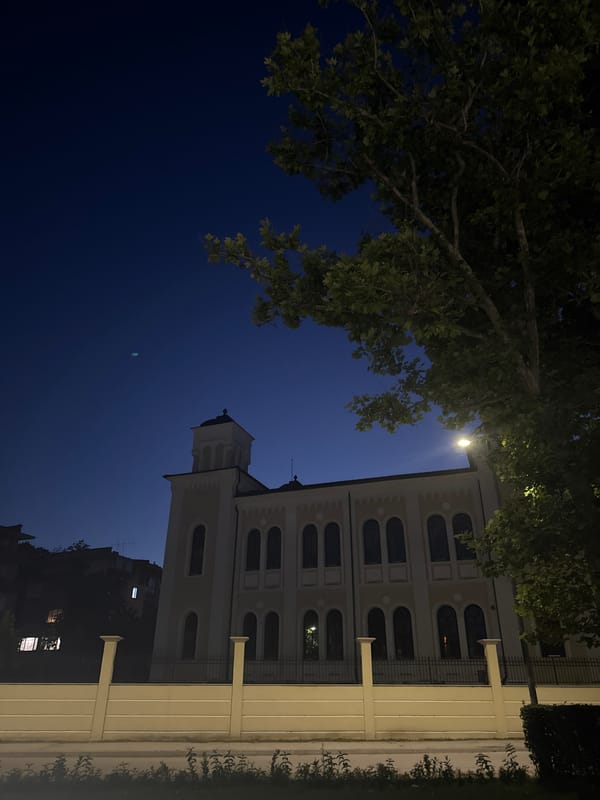 Vidin's park and historic architecture lit up at night