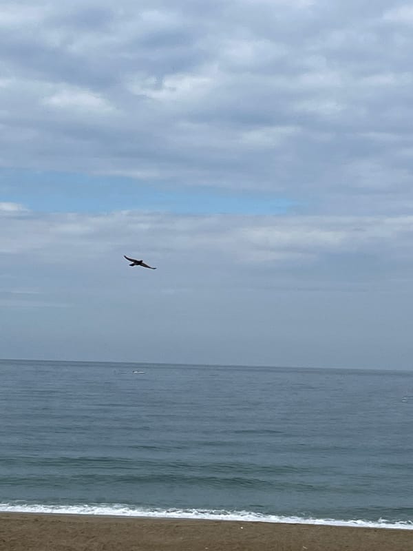 Morning scenes captured across Alanya beaches and streets
