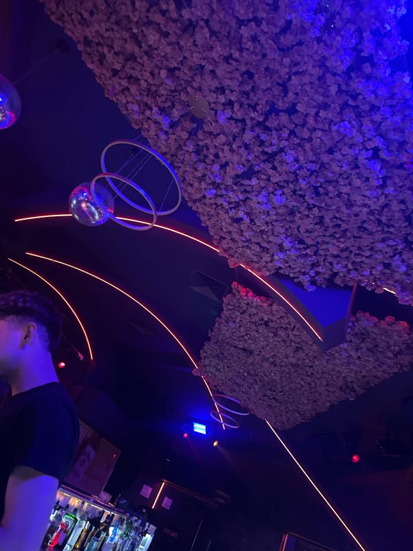 Young people document night out in Sliven, Bulgaria restaurants