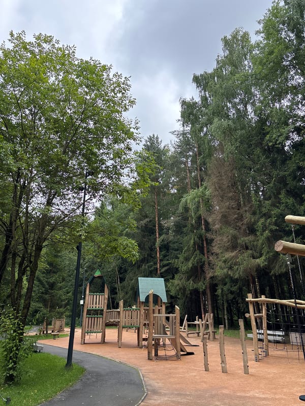 Morning stroll through a forested park in Pavlovskaya Sloboda