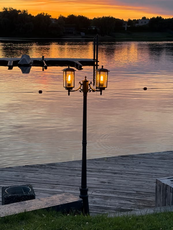 Waterfront sunset with warm lights and silhouetted trees