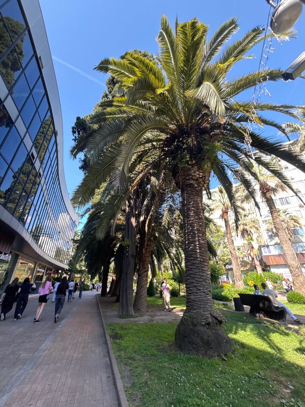 Summer afternoon walk through Sochi's gardens and promenades