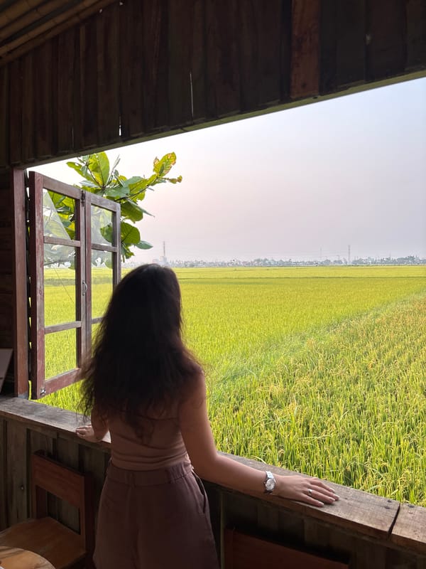 Woman observes rice paddies nearing harvest from Da Nang balcony