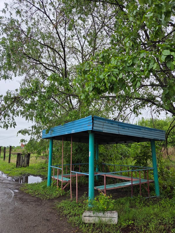 Family documents rainy day journey through rural Pronkino, Russia