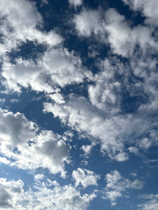 Tabby cat lounges on outdoor wooden structure under a partly cloudy sky