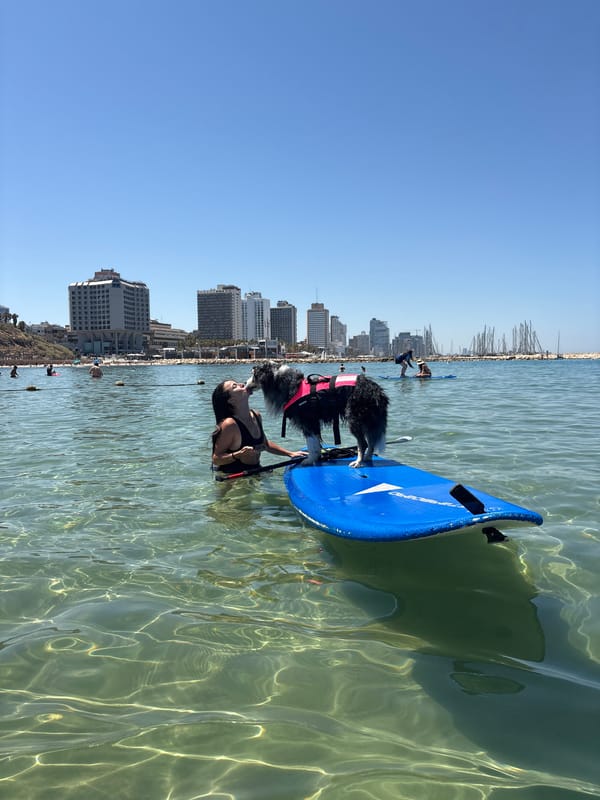Morning beach activities captured along Tel Aviv coastline