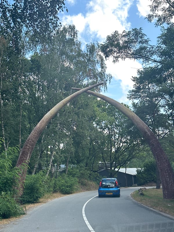 Inside a Dutch safari park, animals roam and vehicles cruise through