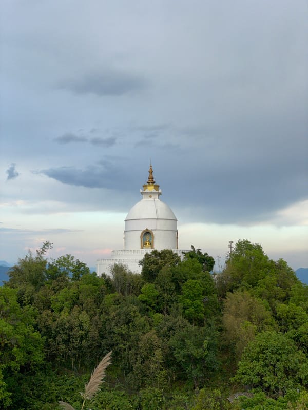 Scenic view of Phewa Lake and Pokhara cityscape documented