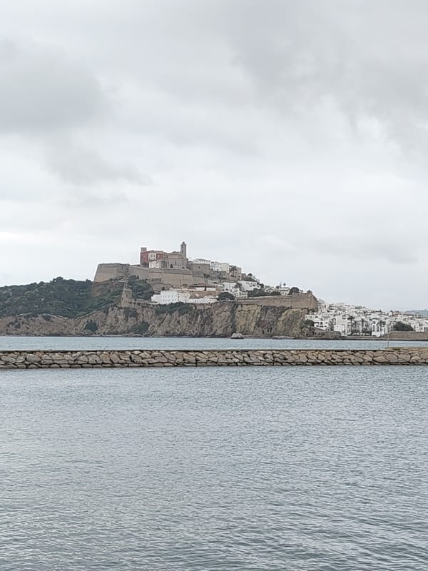 MSC Musica cruise ship docked in Ibiza harbor