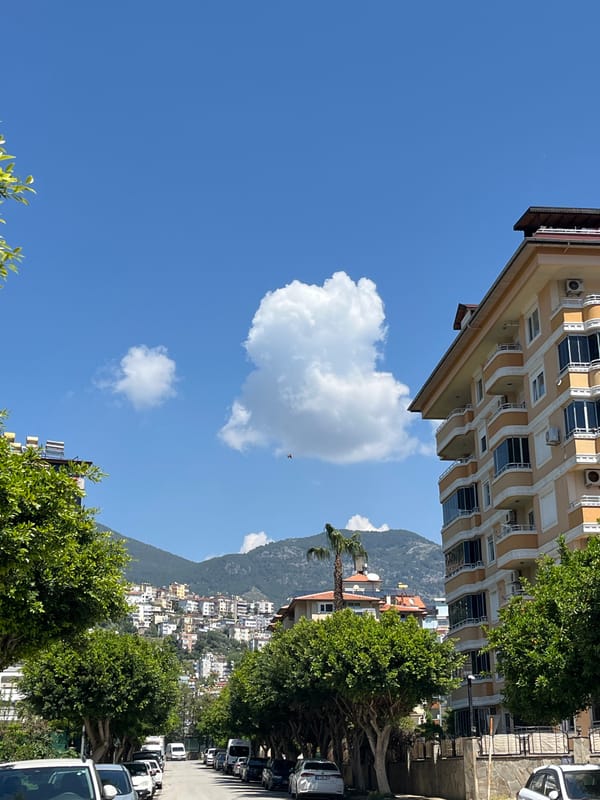 Spring blooms and sunny streets documented in Alanya