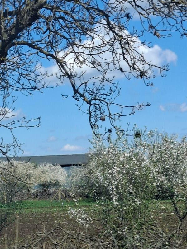 Spring landscape documented in rural Bulgarian villages