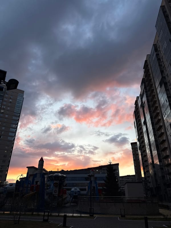 Krasnoyarsk resident captures sunset cityscape and pet Corgi moments