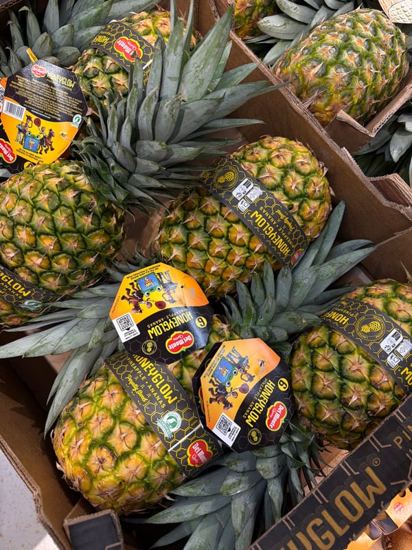 Grocery store browse: fresh produce, wine aisle, and donuts