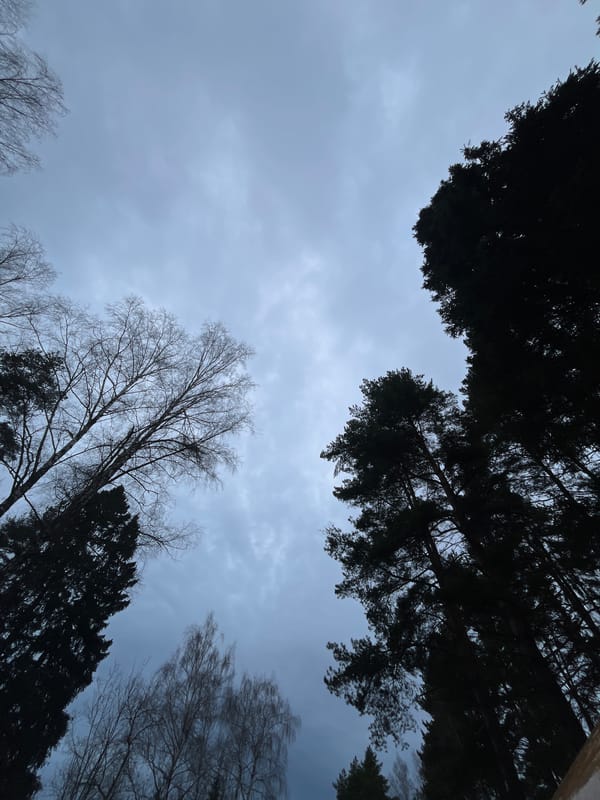 Person photographed in rural spring landscape near Razdol'e, Russia