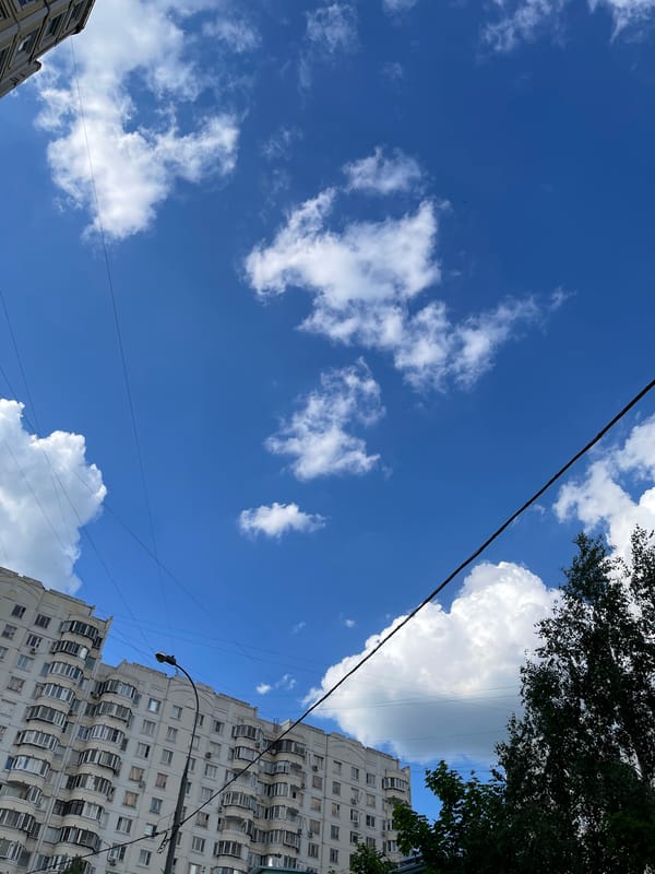 Moscow witnesses document sunny afternoon urban life, flowers, pedestrians