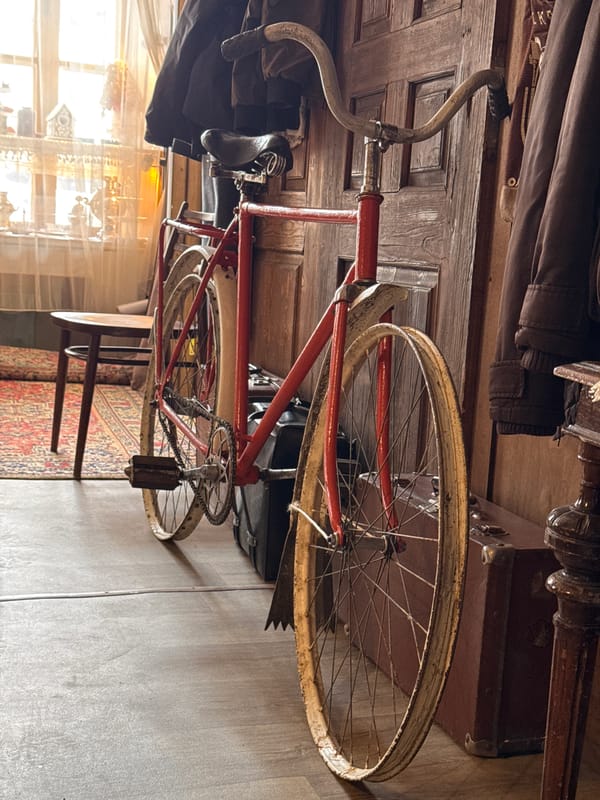 Morning scenes in Kladovitsy: vintage bicycle, sparrow on weathered wood
