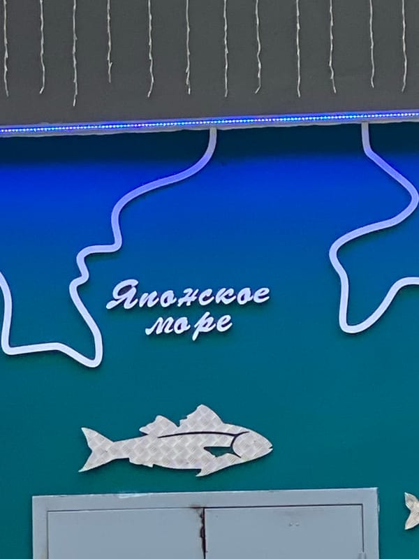Quiet afternoon in Novaya Usman': home, pets, and local shops
