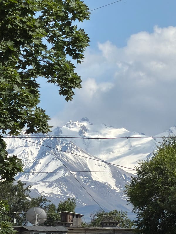 Snow-capped mountains visible through Bishkek's urban landscape