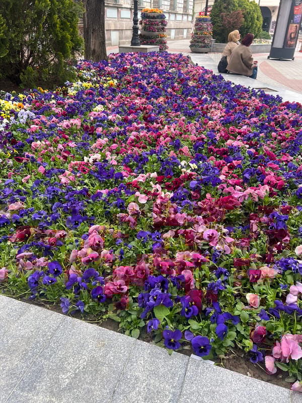 Spring blooms and street scenes captured in Plovdiv
