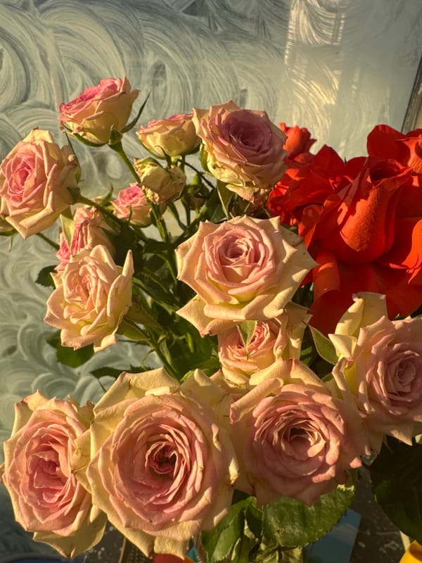 Colorful rose bouquet arranged on table in French town