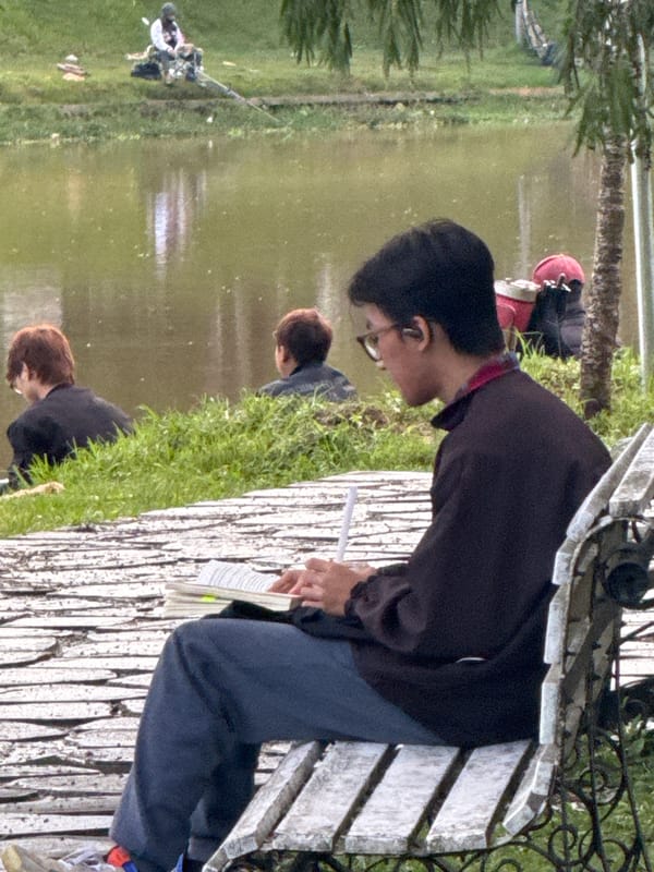 Quiet morning activities captured in Da Lat parks and lakeside