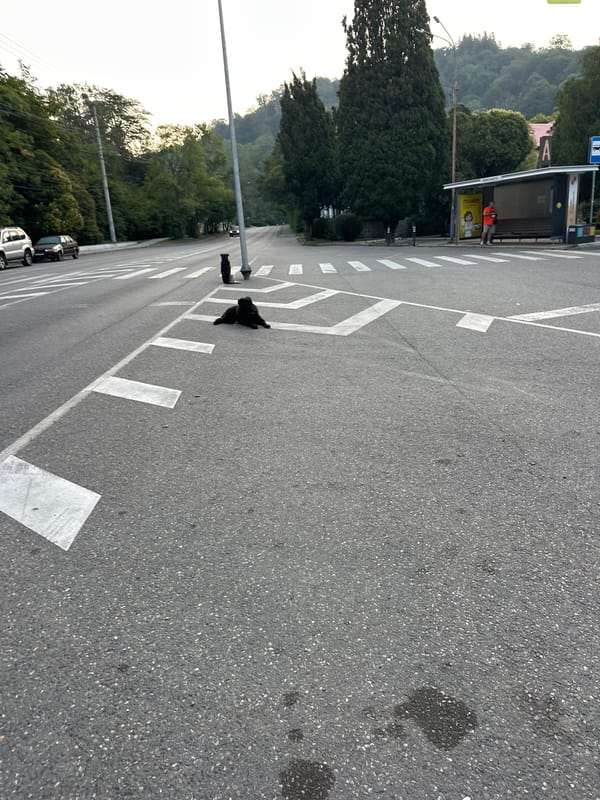 Sochi seafront and city streets, early morning walkthrough