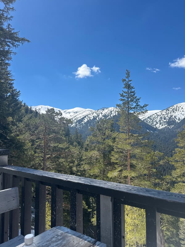 Mountain landscape with snow and forest observed under clear skies