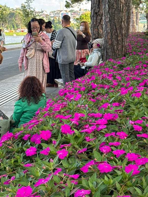 Da Lat's flower-lined streets and Xuan Huong Lake on a busy morning