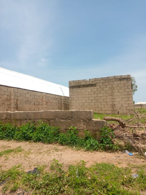 Daily life documented across northeastern Nigerian towns