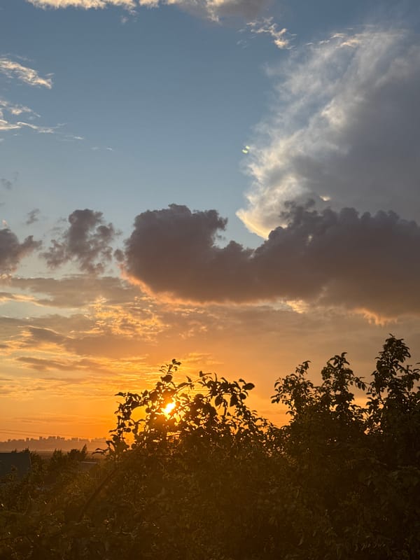 Golden hour skies, rainbows, and backyard nature at dusk