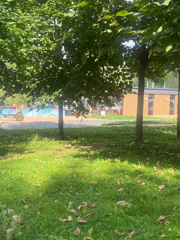 Moscow lake park packed with swimmers and sunbathers on a summer afternoon