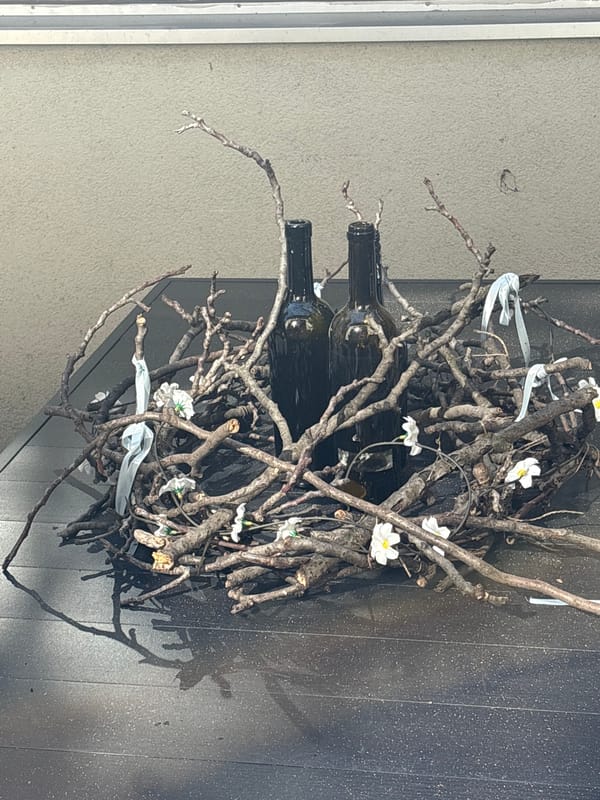 Wine rack and flowering tree documented in afternoon observations