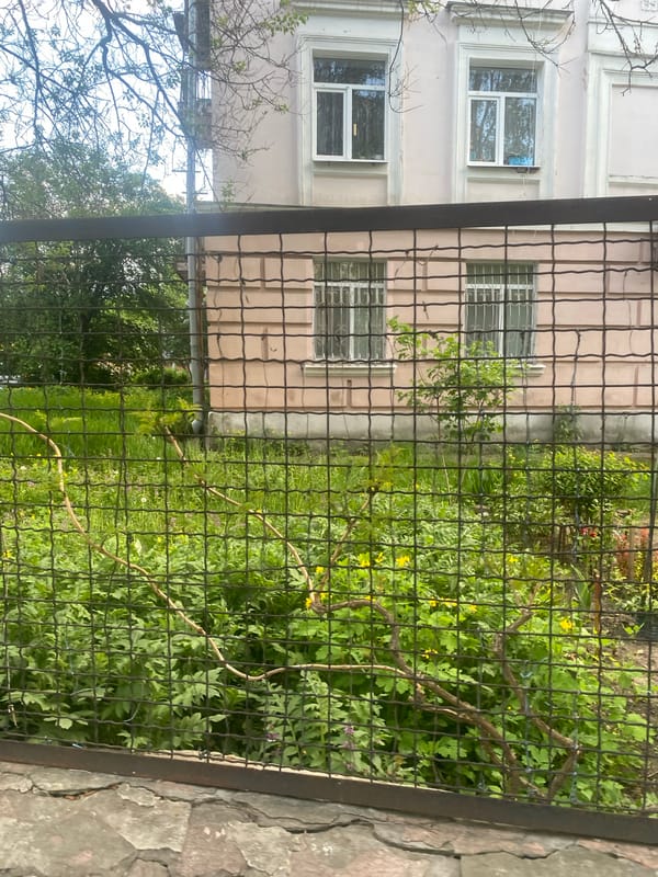 Spring street scenes documented across Poltava, Ukraine