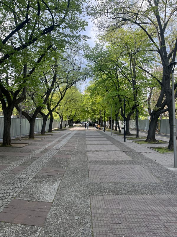 Afternoon stroll through downtown Stara Zagora captured in photos