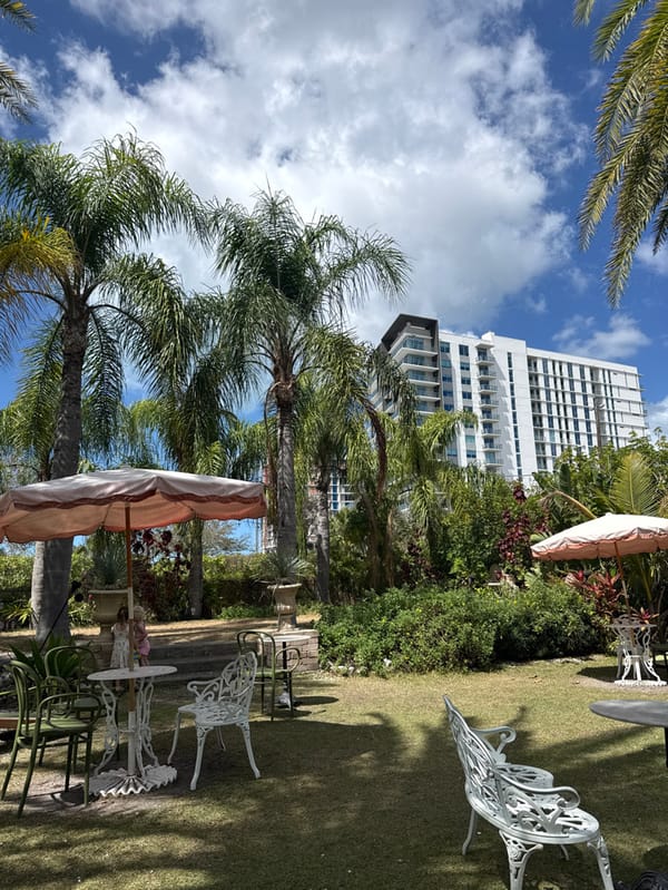 Outdoor dining scene documented in East Naples garden patio