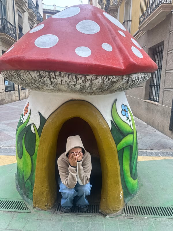 Morning street scenes documented across central Alicante