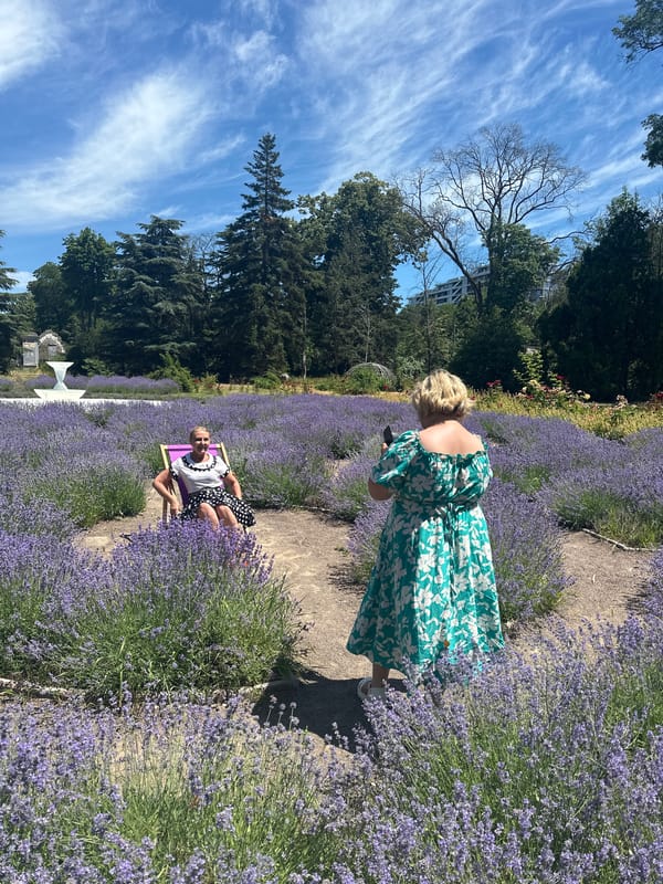 Odesa park and lavender garden on a summer morning